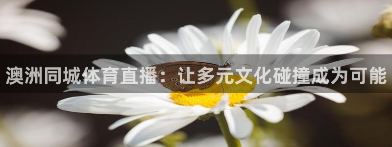 澳洲同城体育直播：让多元文化碰撞成为可能