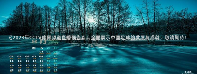 《2023年CCTV体育频道直播预告》：全面展示中国足球的发展与成就，敬请期待！