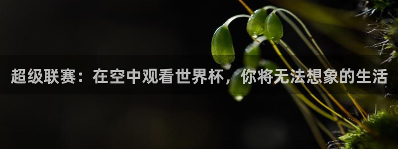 超级联赛：在空中观看世界杯，你将无法想象的生活