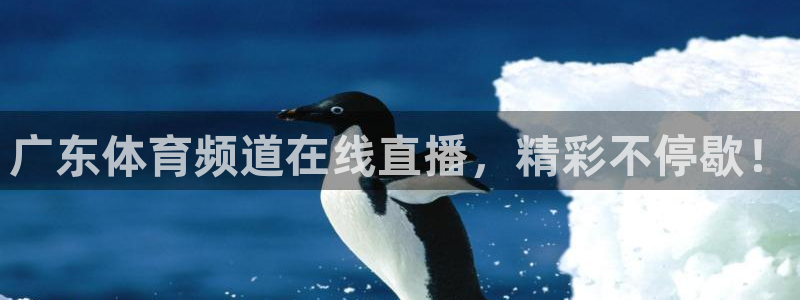 广东体育频道在线直播，精彩不停歇！