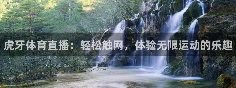 虎牙体育直播：轻松触网，体验无限运动的乐趣