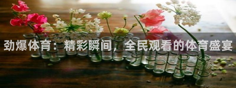 劲爆体育：精彩瞬间，全民观看的体育盛宴