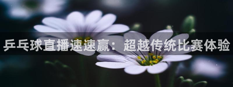 乒乓球直播速速赢：超越传统比赛体验