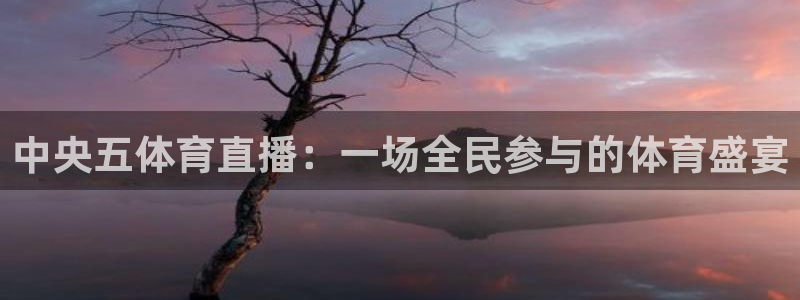 中央五体育直播：一场全民参与的体育盛宴