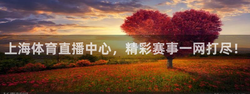 上海体育直播中心，精彩赛事一网打尽！