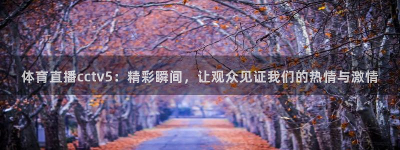 体育直播cctv5：精彩瞬间，让观众见证我们的热情与激情