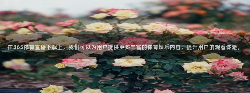 在365体育直播下载上，我们可以为用户提供更多丰富的体育娱乐内容，提升用户的观看体验。