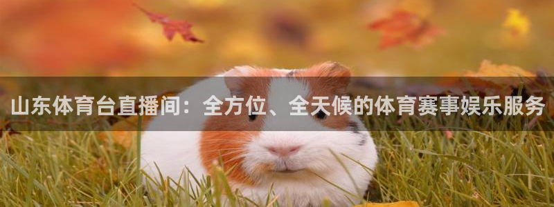 山东体育台直播间：全方位、全天候的体育赛事娱乐服务