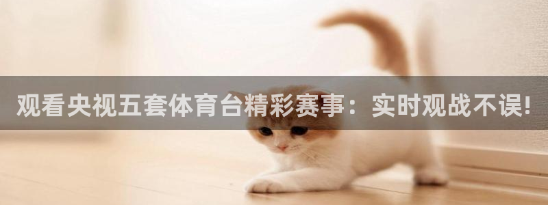 观看央视五套体育台精彩赛事：实时观战不误!